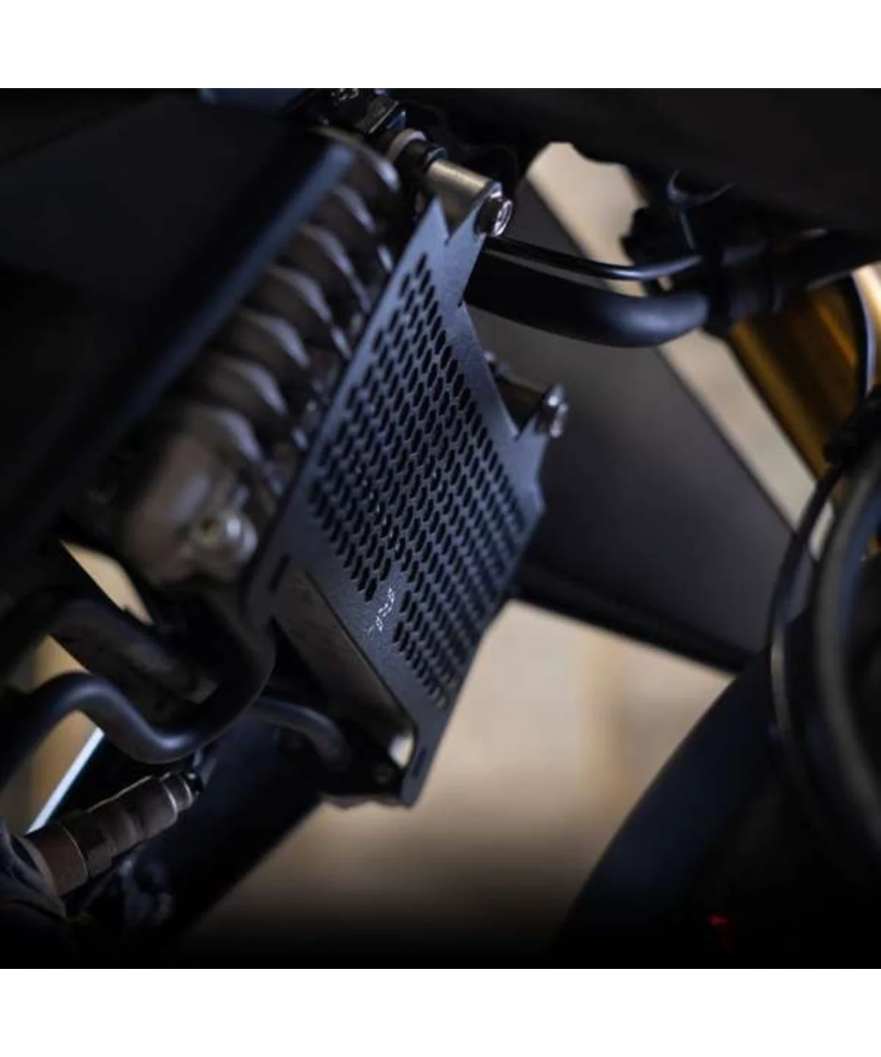 Zana Radiator Guard Honeycomb Black for Honda CB300F - ZI-8279 - Image 3