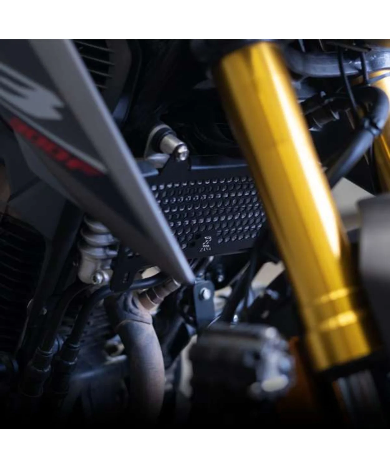 Zana Radiator Guard Honeycomb Black for Honda CB300F - ZI-8279 - Image 5
